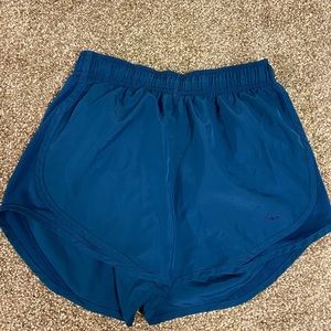 Blue Nike Dry fit shorts